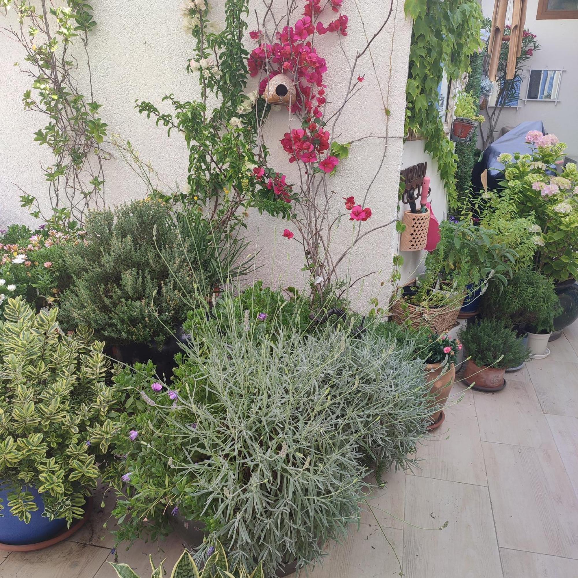 Juan Les Pins Plages Clim Wifi Maison Entiere Antibes Exterior foto